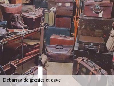 Débarras de grenier et cave  95580