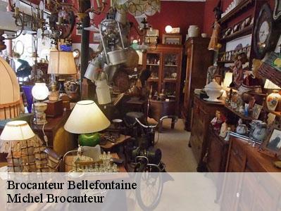 Brocanteur  95270