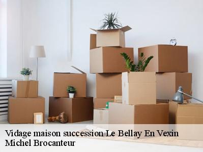 Vidage maison succession  95750