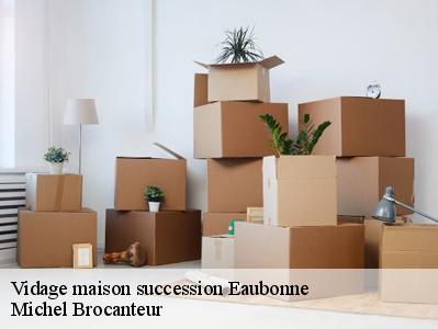 Vidage maison succession  95600